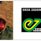 semena-za-domati