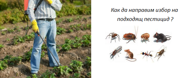 Избор на правилен пестицид за приложение в селското стопанство