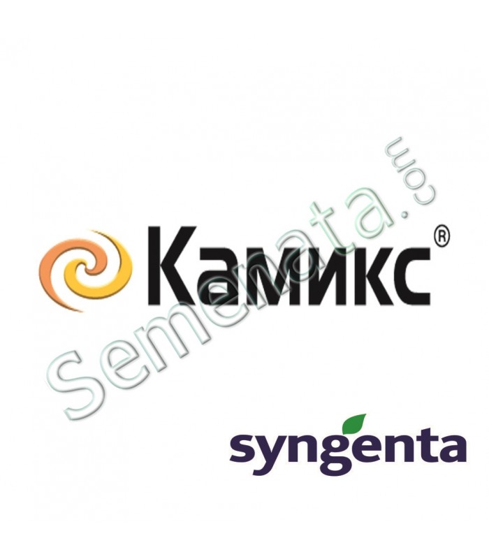 Камикс (Camix)